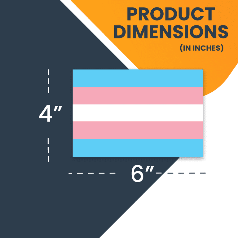Trans Pride Flag Circle Magnet – 5 Inch Decal For Fridge, Locker, Or Metal Surface, Made In USA
