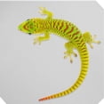 thumbnail image 3 of Reptile Carpet Snake Bedding Liner Mat Bearded Dragon Tank Background Reptile Carpet, 3 of 6