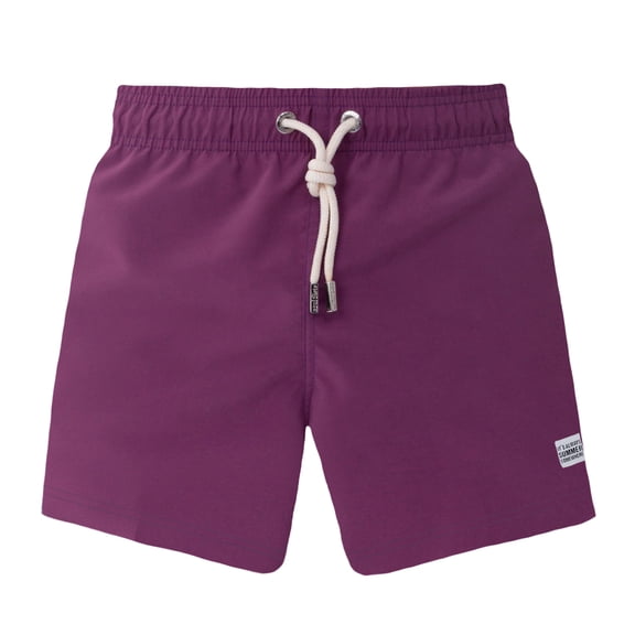 AZUL SIETE SWIMWEAR PURPLE Solid Swim Trunks for Men That Offer Style, Comfort, and Performance