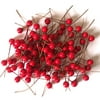 Seyurigaoka Artificial Bubble Berry with Iron Wire Stem, Holly Fake Decoration
