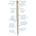 thumbnail image 2 of 36" Deep Drip Tree Watering Stakes/Spikes (Pack of 6), 2 of 2