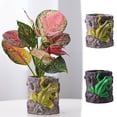 thumbnail image 1 of Xihbxyly Maceta de Resina con Forma de Rana, Decoración Original para Escritorio, Divertido Portalápices con Forma de Rana, Organizador Multifuncional para Oficina, Regalo Ideal para Amigos, Familia,, 1 of 6