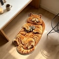 thumbnail image 4 of AMARHH Cat Shaped Fluffy Plush Floor Mat, Washable Faux Fur Animal Rug for Home Bedroom Living Room, Soft Cozy Bedside Decor Accent for Cat Lover Gift, 4 of 6
