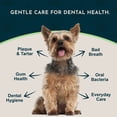 thumbnail image 3 of Animal Essentials Sea Dent for Dogs 70 gm Kelp and Enzymes Teeth Care, 3 of 9