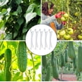 thumbnail image 5 of Ganchos para soporte de tomate, soporte para planta de tomate de invernadero con alambre, Clip para verduras, pepino, cereza, 10 Uds., 5 of 5