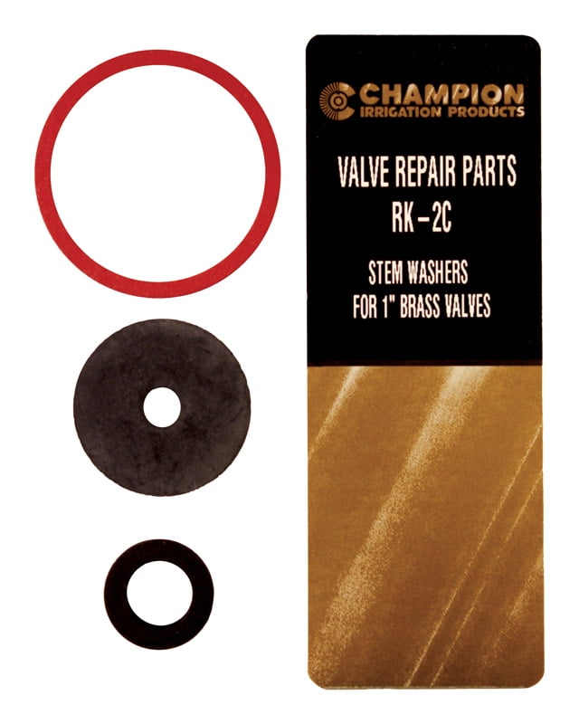 Champion 1 L Stem Gasket Kit