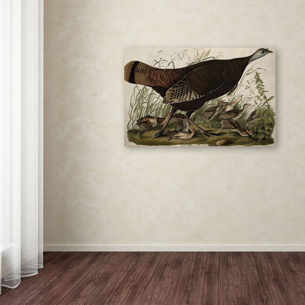 Trademark Fine Art "Great American Hen and Young" Canvas Art by John James Audubon