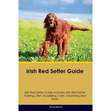 Irish Red Setter Guide Irish Red Setter Guide Includes: Irish Red Setter Training Diet Socializing Care Grooming an (Paperback)
