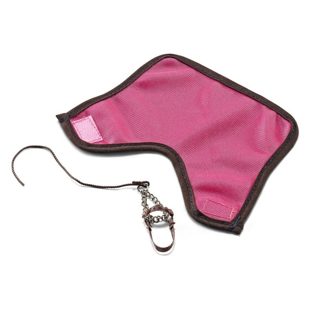 Fly Blanket & Halter