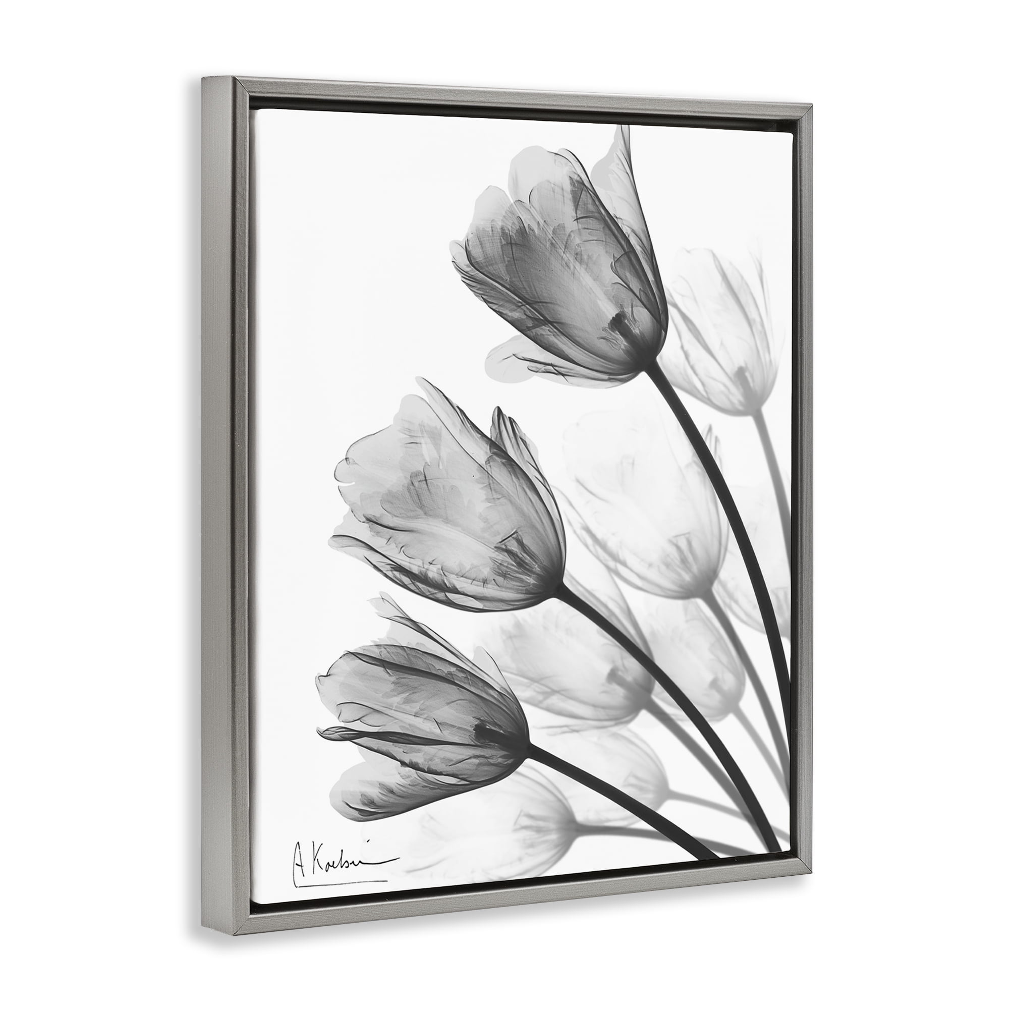 Stupell Industries Minimalist Tulip Fan Gray Framed Floater Canvas Wall Art, design by Albert Koetsier