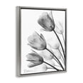 thumbnail image 2 of Stupell Industries Contemporary Minimalist Tulip Fan Gray Floating Frame Canvas Art, 25 x 31, by Albert Koetsier, 2 of 8