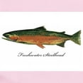thumbnail image 2 of CafePress - Freshwater Steelhead Trout Infant Bodysuit - Baby Light Bodysuit, Size Newborn - 24 Months, 2 of 4