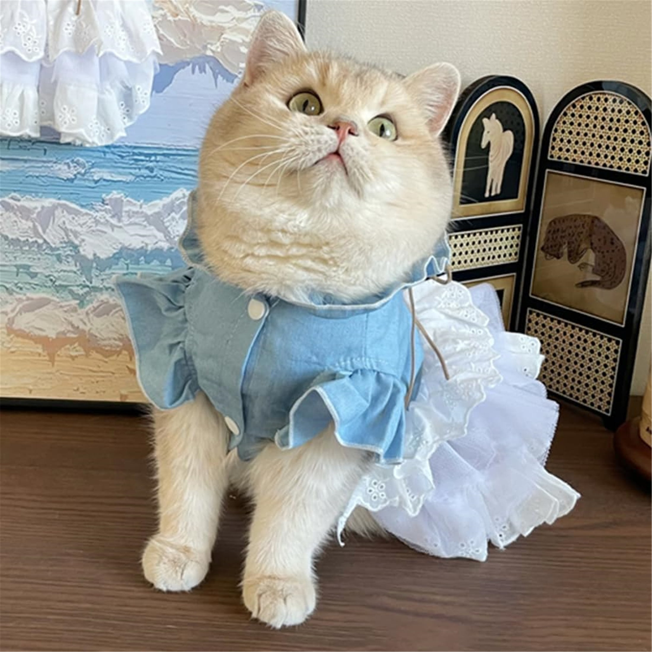 HQREA Girl Dog Denim Dress Sleeves Dog Jeans Jacket Puppy Clothes for Small Dogs Cat Apparel Cake Skirt Pet Outfit