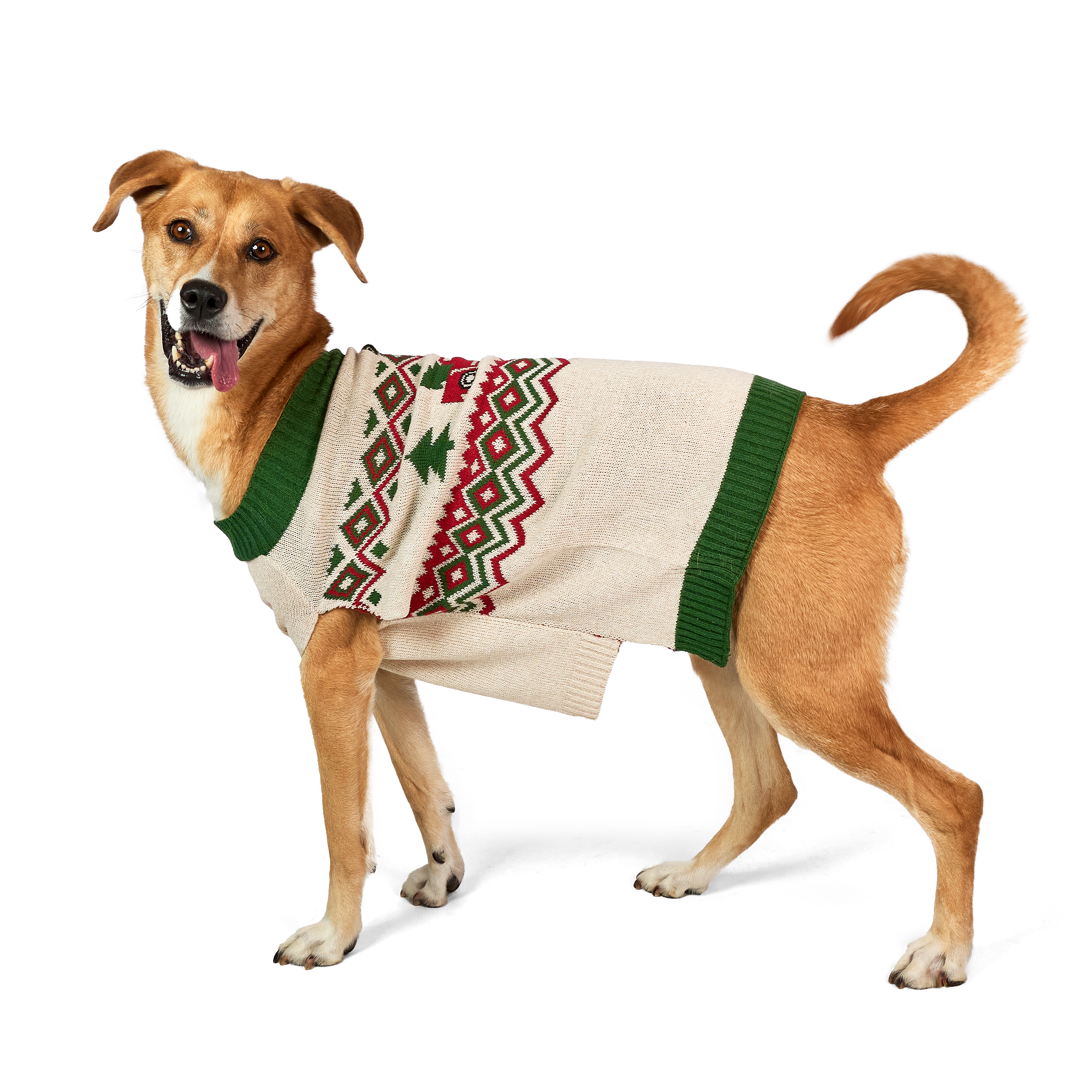 Vibrant Life Holiday Truck Hooded Dog Sweater, Beige & Green, Large