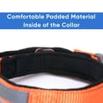 thumbnail image 6 of Pawtitas Martingale Padded Reflective Dog Collar Lumberjack Dog Collar Medium Orange, 6 of 10