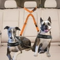 thumbnail image 4 of Double Dog Seat Belt Adjustable Elastic Bungee Towing Rope Connected to Car Travel Harness Pet Headrest Restraint for Jumping Puppies and Dogs, 4 of 4