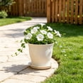 thumbnail image 4 of Plastic Flower Pot with Scalloped Rim for Indoor and Outdoor Plants, Suitable for Succulents and Green Plants, Home Decor Planter, 4 of 5