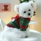 thumbnail image 4 of Vestido para perros Falda para perros Ropa para perros pequeños Conjuntos para niñas y gatos Vestido para gatos Ropa para mascotas Ropa para perros Ropa elegante, 4 of 6