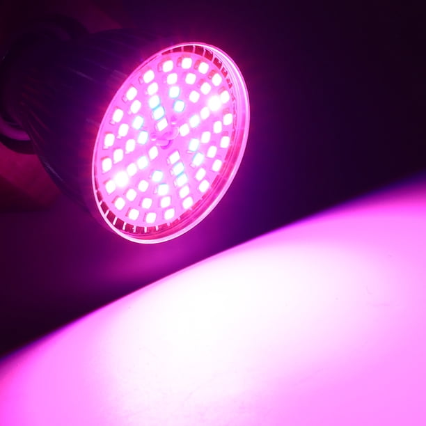 Grow Light, 60 Perlas LED Eficientes 2.2x3.4in luz de cultivo de plantas, para las plantas de invernadero, cultivo de verduras
