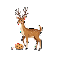 thumbnail image 4 of cartoon Deer Stickers, Waterproof Deer Sticker for Water Bottle Laptop Phone Cases Planner Skateboard Luggage Helmet Party Favor Decor, Ideal for Adults Teens Teacher Rewards, 4 of 8