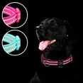 thumbnail image 6 of azuza 2 Pack Reflective Soft Neoprene Padded Dog Collars Adjustable Pet Collar with ID Tag Ring Safe and Comfy for Small Medium Large Dogs, 6 of 7