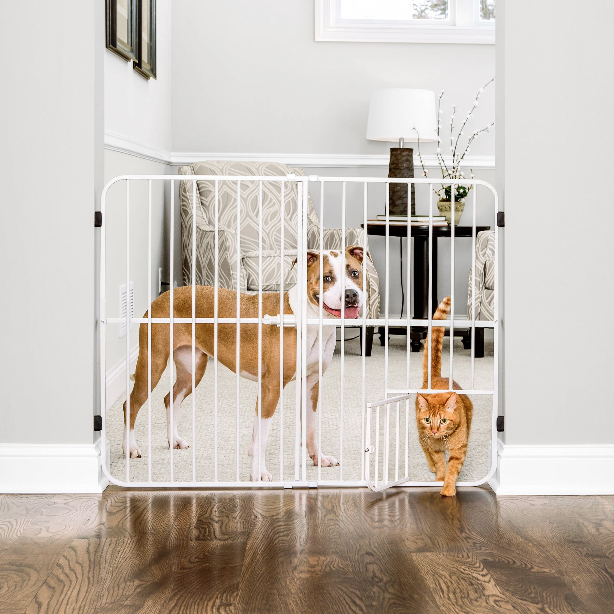 Carlson Extra Wide Walk Through Gate for Dogs Cats with Small Pet Door Pressure Mount Kit 30 Tall 29 36.5 Wide Walmart