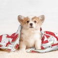 thumbnail image 4 of Pofeuu Watermelon Print Puppy Blanket,Dog Blankets,Pet Blanket Cozy Cat Blankets for Indoor Cats, Fuzzy Pet Blanket for Kitten Doggy Dog Blankets-Medium, 4 of 8