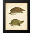 thumbnail image 2 of Hill, J.W. 12x14 Black Modern Framed Museum Art Print Titled - Turtle Duo IV, 2 of 5