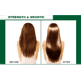 thumbnail image 2 of Hair Chemist Castor & Hemp Pro-Growth Hair Oil 7.1 oz., 2 of 8