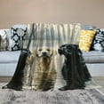 thumbnail image 2 of Orinice Dog Golden Retriever Blanket Soft Cozy Microfiber Throws Blankets All Season Bed Sofa,Couch Room Bedroom Chairs Dorm for Adult and Kids Women Gifts 40x50in, 2 of 6