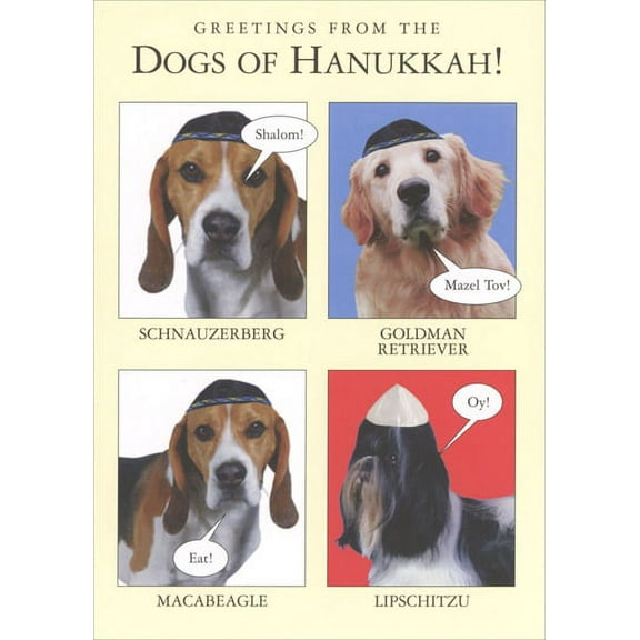 Recycled Paper Greetings Dogs Of Hanukkah Funny Humorous Hanukkah Card