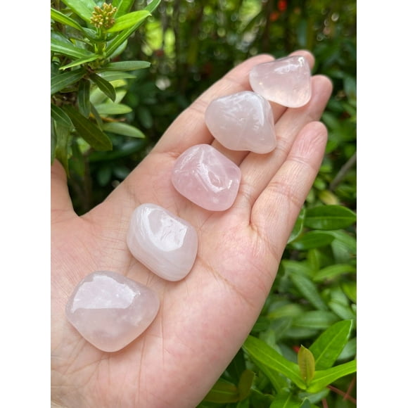 Rose Quartz Tumbled Stone, 0.75-1" Tumbled Rose Quartz