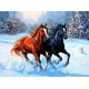 thumbnail image 1 of 30x40cm Adultos Niños 5d Diy Diamond Art Painting Set - Semental Corredor De Nieve, Manualidades De Bordado De Diamantes Completos, Pintura De Diamantes De Imitación De Cristal De Lienzo, 1 of 5