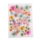 thumbnail image 2 of Hojas Secas Prensadas Naturales Zulema Flores Secas para Manualidades, 2 of 6