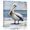 Gray Blue Gray Green Dark Blue, variant on Wall Art Prints, Coastal Pelican Framed Canvas Prints for Bedroom Living Room Bathroom Office, Modernism Art Oil Painting Birds Gallery Wrap Wall Art Poster for Gifts Home Decor 12"x12"