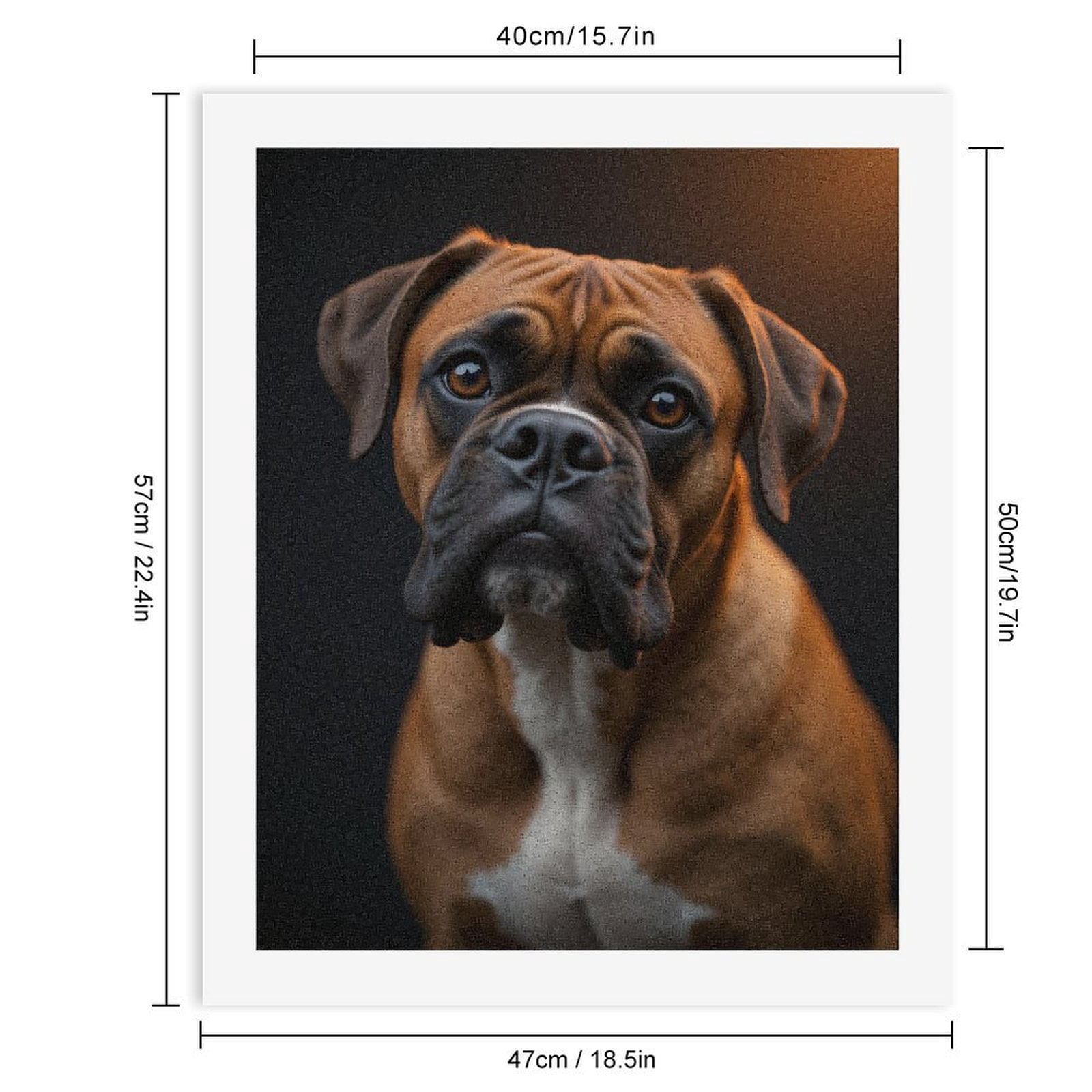 Paint by Numbers Kit for Adults, Boxer Dog Portrait Black Background Paint by Numbers, Easy Paint by Numbers Kit for Adults Beginner, DIY Adult Paint by Number Kits on Canvas, Home Decor