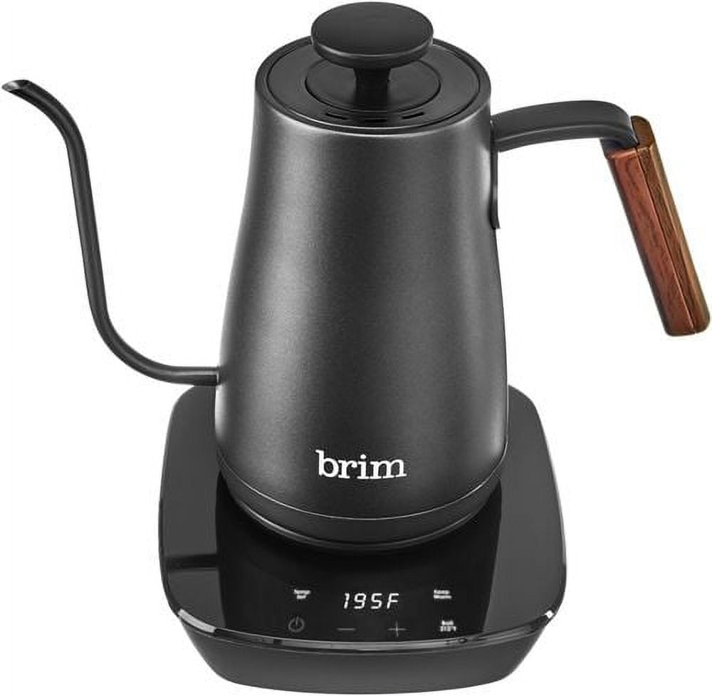 Brewista BA6VKETLCD 600 ml Brewista Artisan Irridecent - Walmart.com