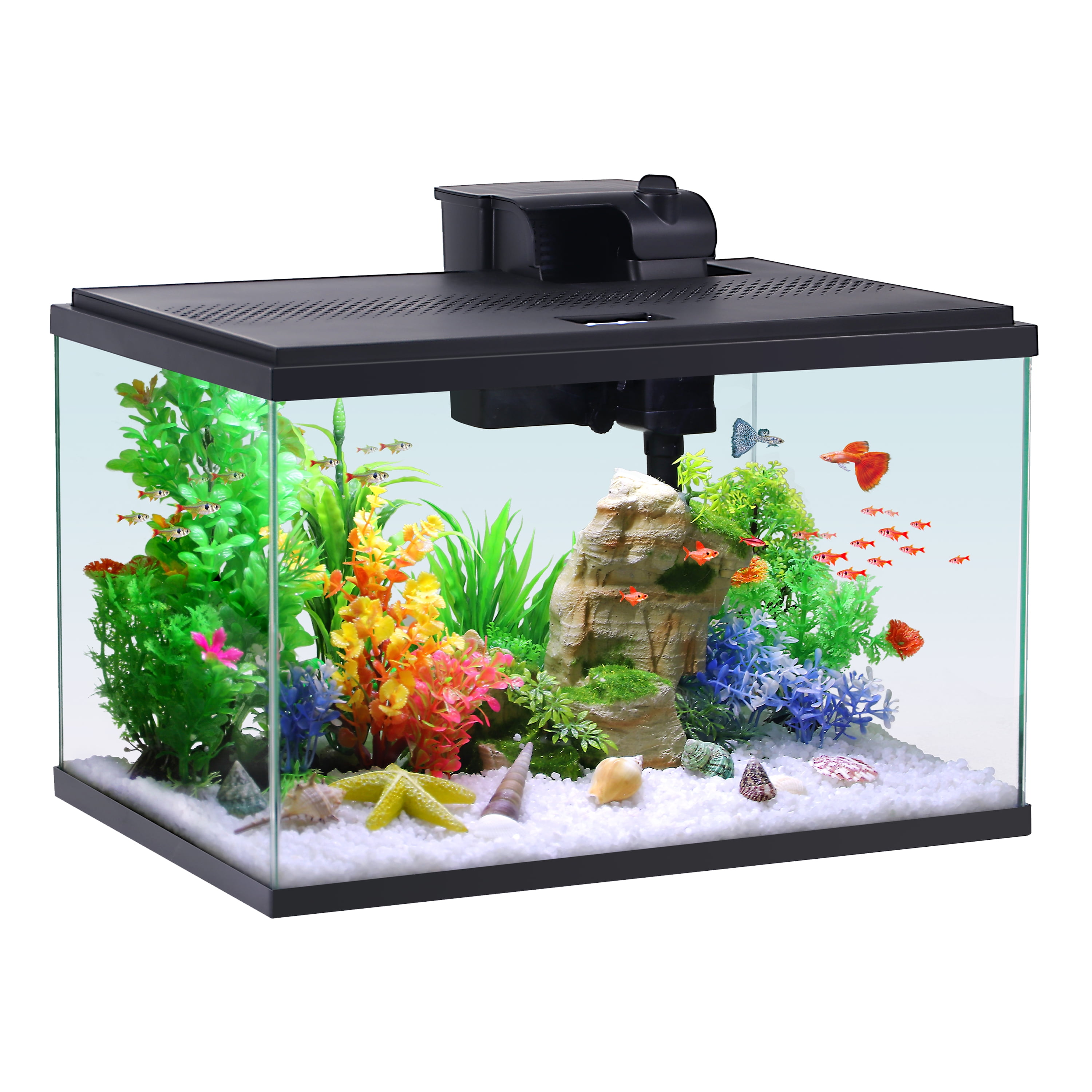 Aqueon Ascent 10 Gallon Frameless Led Aquarium Kit 18.75 x 10 x 15.75 Walmart