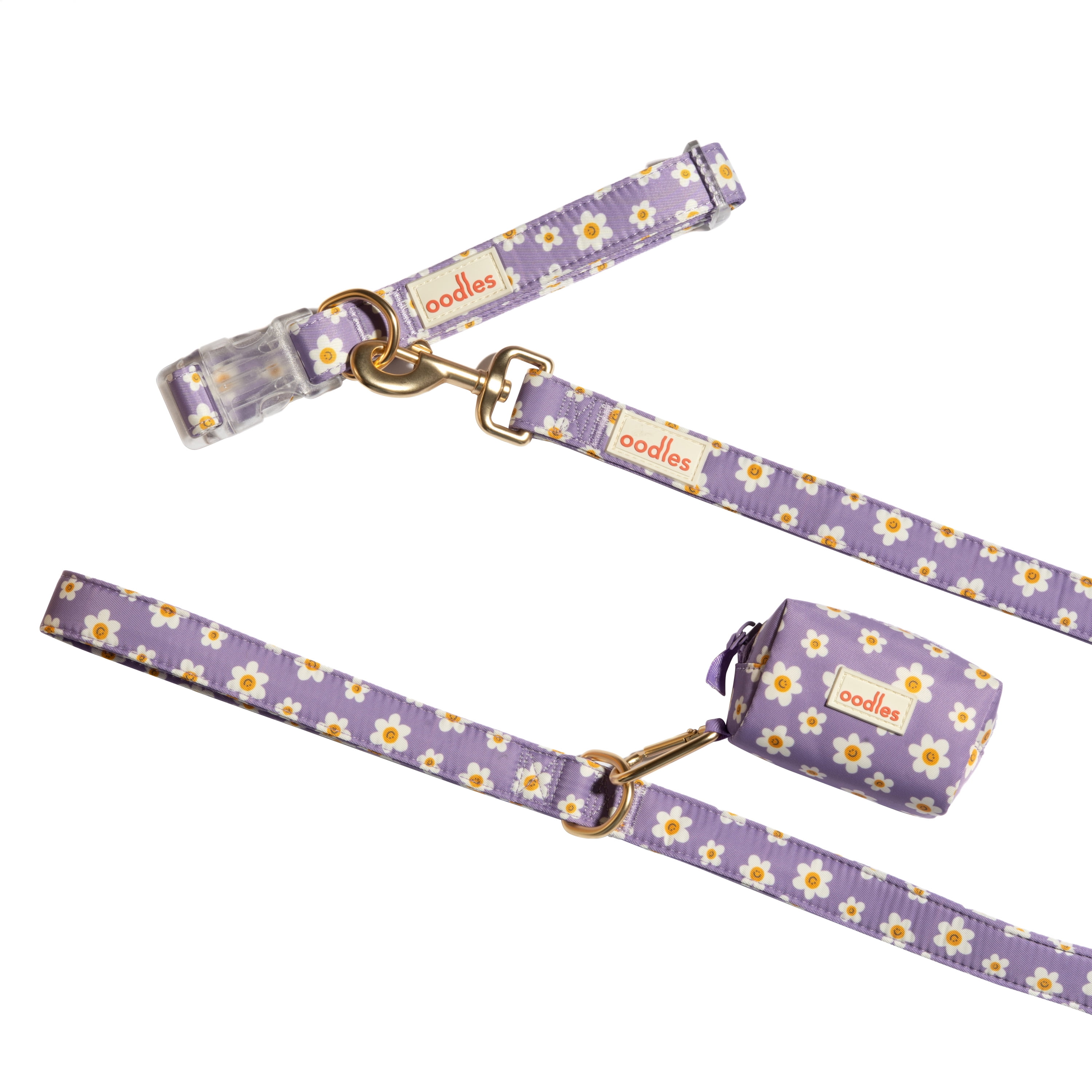 Oodles Floral Smiley Dog Walking 3 Piece Set, Medium