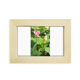 thumbnail image 1 of Lotus Bud verano Escritorio de madera Arte Pintura 5x7 pulgadas marco de foto foto, 1 of 4