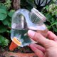thumbnail image 5 of Dispositivo de riego automático Hogar Riego perezoso Artefacto de flores Viajes Viajes Filtración de agua Goteo Accesorios de riego por goteo Riego carnoso Flor, 5 of 6