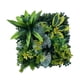 thumbnail image 3 of Panel de pared de césped, seto de privacidad, , accesorios, verde, decorativo, versátil, césped artificial, fondo de pared para exteriores, 3 of 9