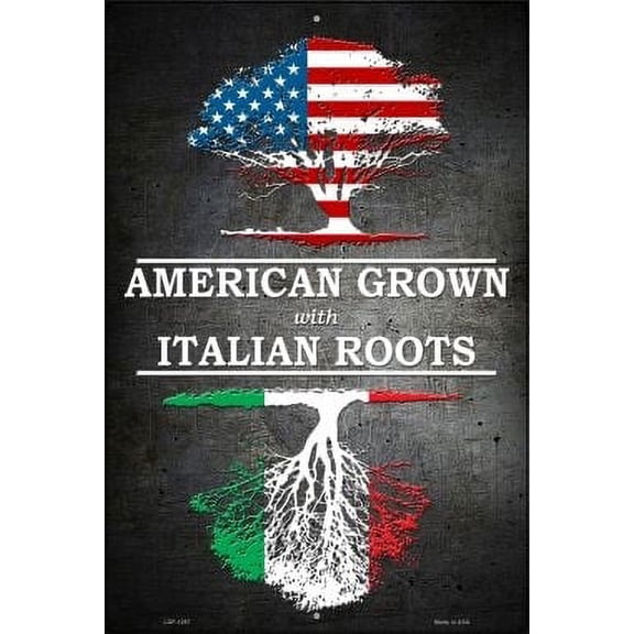 Smart Blonde LGP-1297 12 x 18 in. American Grown Italian Roots Novelty Metal Large Parking Sign