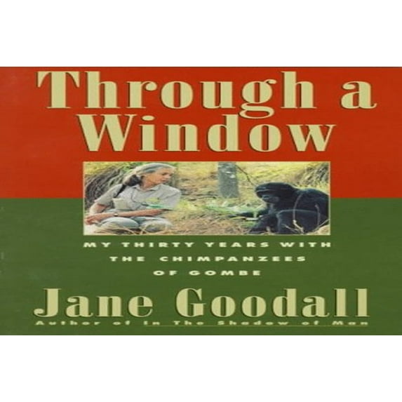 Pre-Owned Through a Window