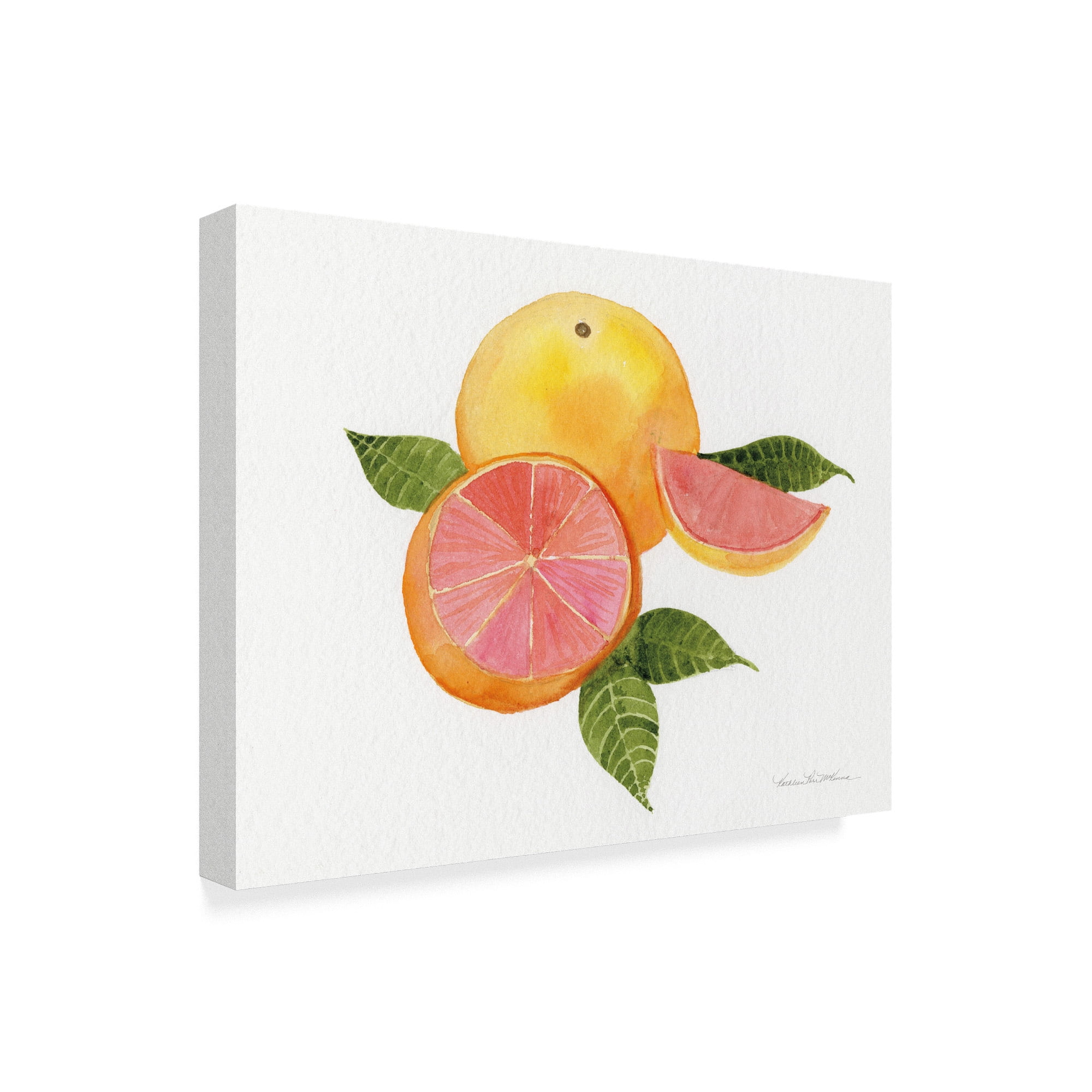 Trademark Fine Art 'Citrus Garden X' Canvas Art by Kathleen Parr McKenna