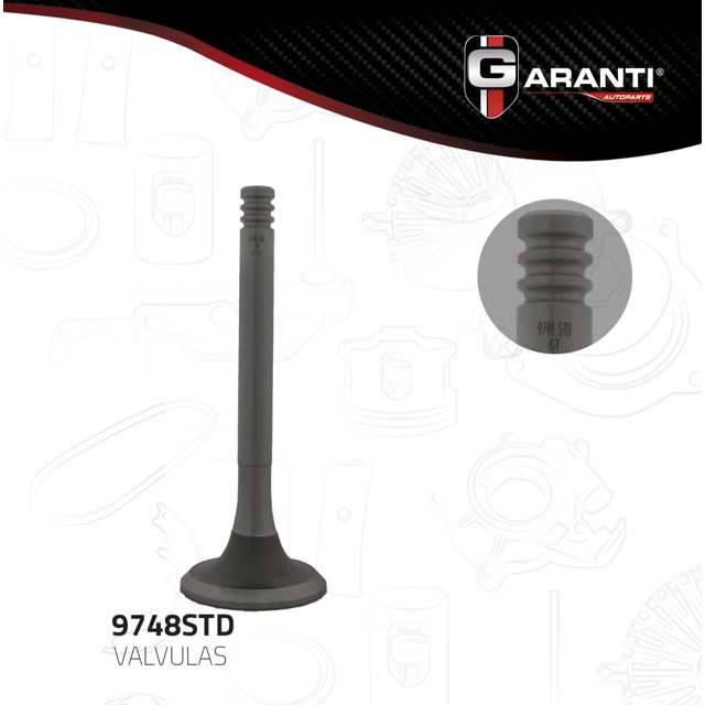 Valvula Escape Garanti Para Volkswagen Quantum 1983 - 1988 (Garanti)