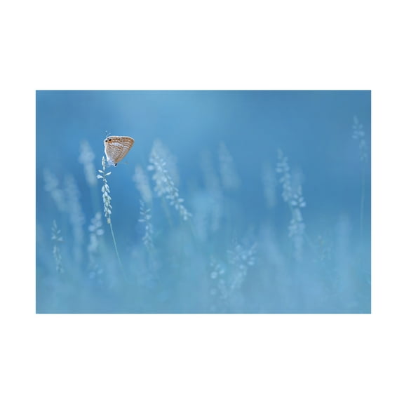 Canvas Wall Art - Edy Pamungkas 'Blues' Wall Art for Living Room, Bedroom, or Office Décor by Trademark Fine Art - 19 x 12 Inches