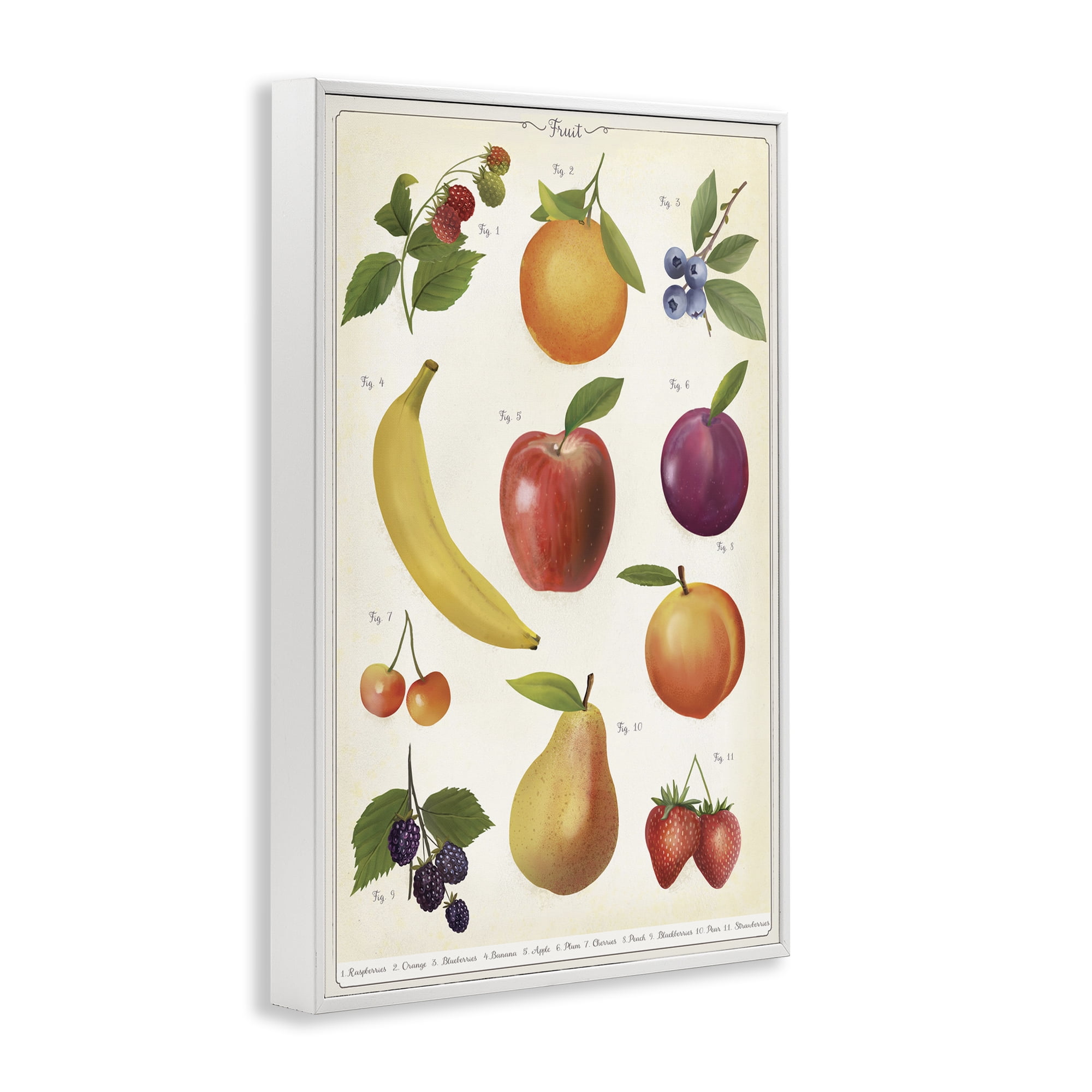 Stupell Industries Fruit Collection Studies White Framed Giclee Art, design by Diane Neukirch
