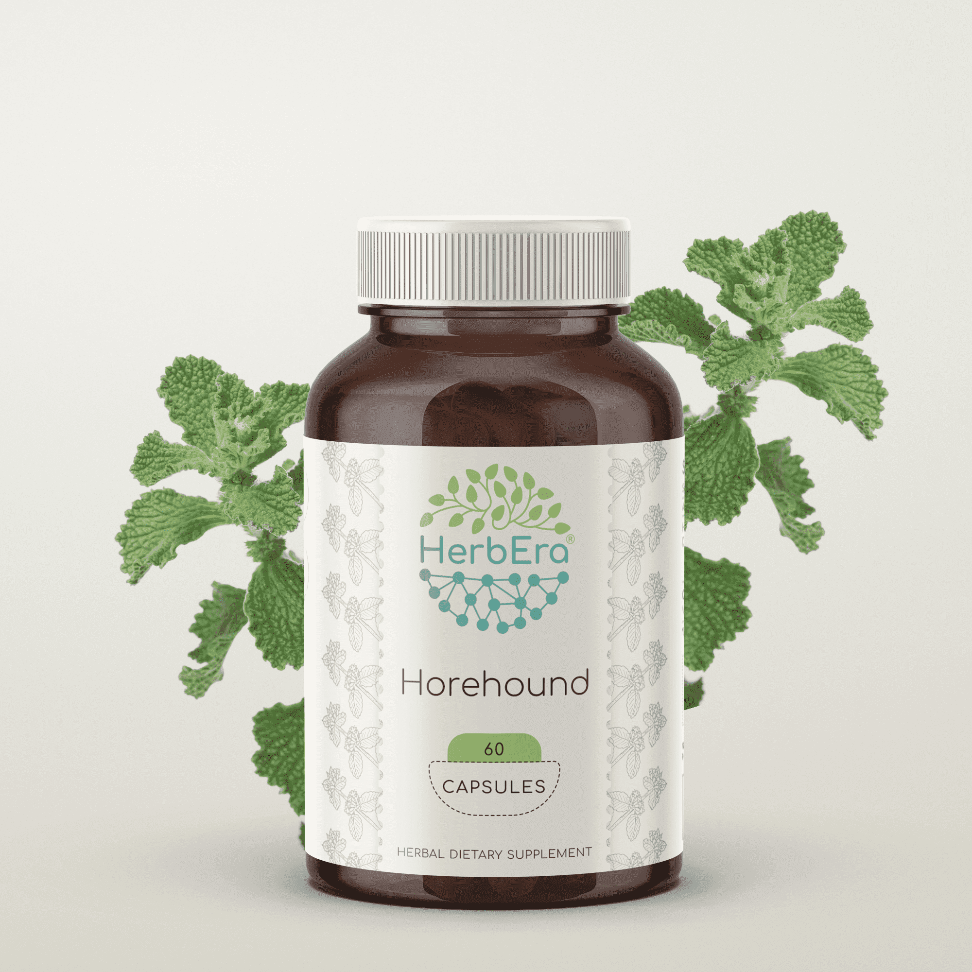 HerbEra Horehound Capsules, Herbal Dietary Supplement for Respiratory Health Support, Horehound (Marrubium vulgare) Dried Herb Capsules, Natural, 60 Capsules