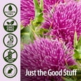 thumbnail image 2 of Nature’s Answer Milk Thistle Seed Extract 2,000 mg, Alcohol-Free, 1 fl oz, 2 of 7